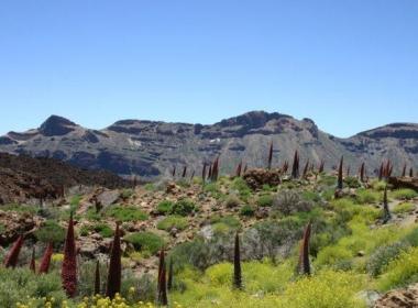Eilandhoppen El Teide